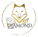 Diamond Fit Club Logo